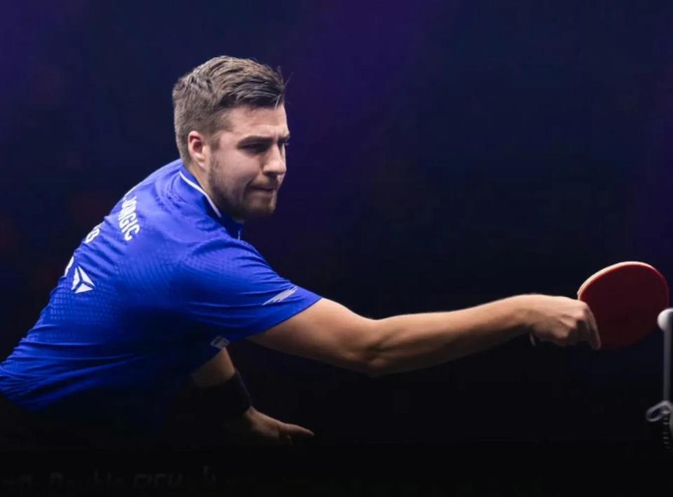 展现出极高 展现出极高